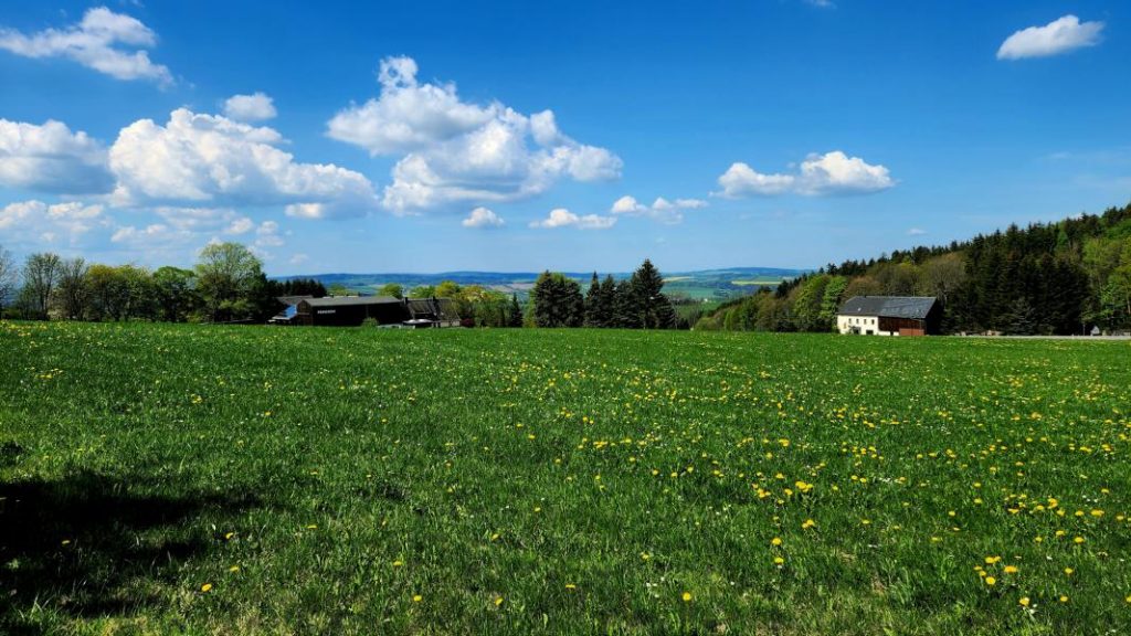 Reisebericht mit dem Flugzeug nach Großrückerswalde EDAG