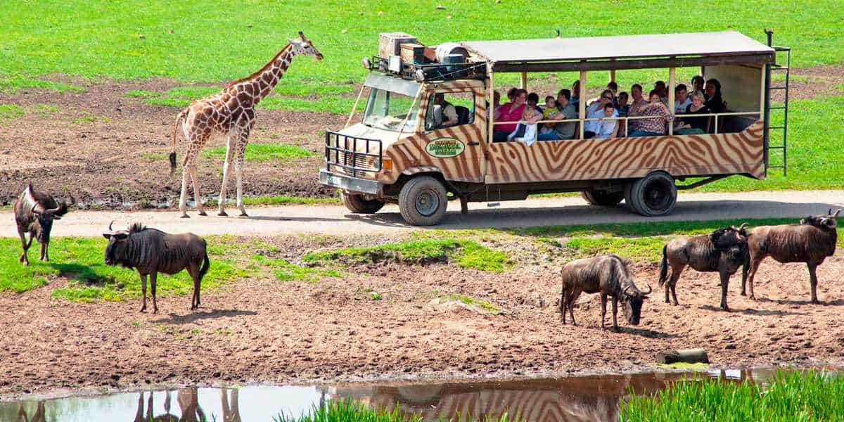 Serengeti Park von EDVH Hodenhagen für Privatpiloten ein Ausflugziel von vielen im Trend liegenden Ausflugszielen und Ausflugsideen, von jeden Flugplatz gibt es Ausflugziele zu entdecken