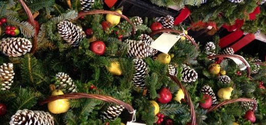 Weihnachtsmarkt von Celle-Arloh EDVC für Privatpiloten ein Ausflugziel von vielen im Trend liegenden Ausflugszielen und Ausflugsideen, von jeden Flugplatz gibt es Ausflugziele zu entdecken